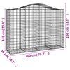 vidaXL Paniers &agrave; gabions arqu&eacute;s 20 pcs 200x50x140/160 cm Fer galvanis&eacute;