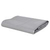 vidaXL B&acirc;che 650 g / m&sup2; 4x6 m Gris