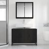 vidaXL Ensemble de mobilier de salle de bain 2 pcs Ch&ecirc;ne noir