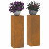 vidaXL Support de Plante 2 pcs Rouill&eacute; 24 x 24 x 75 cm Acier patin&eacute;