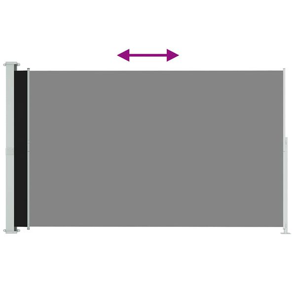 vidaXL Auvent lat&eacute;ral r&eacute;tractable de patio 180x300 cm Noir