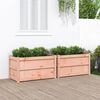 vidaXL Jardini&egrave;res 2 pcs bois massif douglas