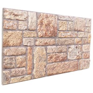 vidaXL Panneaux muraux 10 pc 100 x 50 cm Marron clair et blanc
