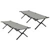 vidaXL Lit de camping pliant 2 pc Gris 193 x 69 x 45 cm Tissu Oxford