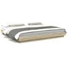 vidaXL Cadre de lit avec lumi&egrave;res LED sans matelas 200x200 cm