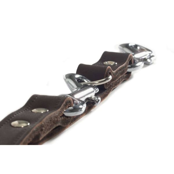 Beeztees Laisse de dressage Cuir Marron 200x1,2 cm 736401