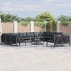 vidaXL Ensemble de canapé de jardin avec coussin 12 pcs Noir Acier