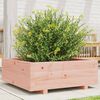 vidaXL Jardini&egrave;re 70x70x26,5 cm bois massif douglas