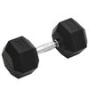 vidaXL Halt&egrave;re 20 kg Fonte