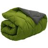 vidaXL Duvet d'hiver Vert et Anthracite 220 x 155 cm Microfibre