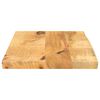 vidaXL Dessus de table 40x20x2,5 cm bord vif bois massif manguier brut