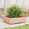 vidaXL Jardini&egrave;re 80x80x26,5 cm bois massif de douglas