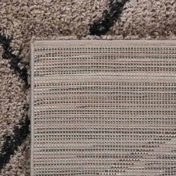vidaXL Tapis shaggy &agrave; poils longs Beige et anthracite 120x170 cm
