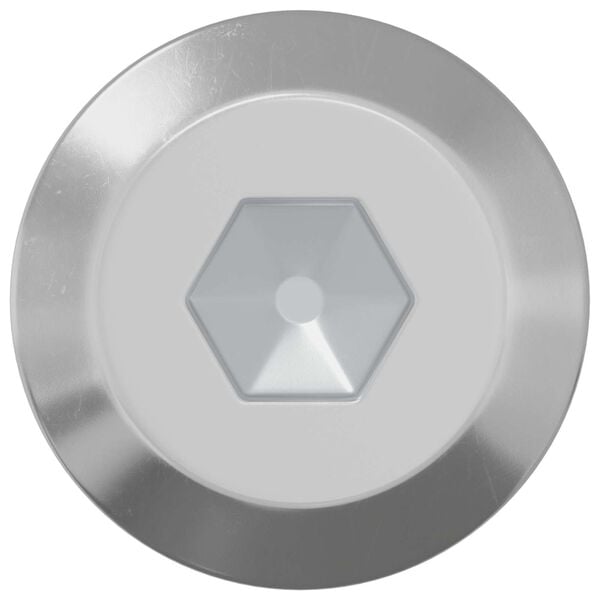 vidaXL Vis 2 pcs Argent&eacute; M6 x 60 mm Acier