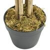 Vignette du produit 3 sur 4