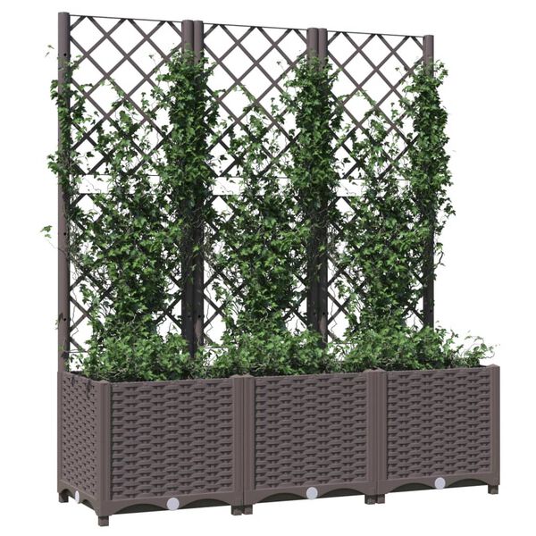 vidaXL Jardini&egrave;re avec treillis Marron 120 x 40 x 136 cm PP