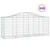 vidaXL Paniers &agrave; gabions arqu&eacute;s 40 pcs 200x50x80/100 cm Fer galvanis&eacute;