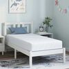 vidaXL Matelas Blanc et Bleu 80 x 160 cm Mousse Infusée de Gel