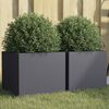 vidaXL Jardinières 2 pcs anthracite 32x30x29 cm acier