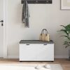 vidaXL Banc d'entr&eacute;e avec coussin avec stockage Blanc 80 x 46 x 46 cm