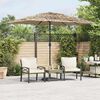 vidaXL Parasol de jardin avec LED et m&acirc;t en acier marron 300x200x250cm