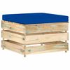 Blue_and_brown