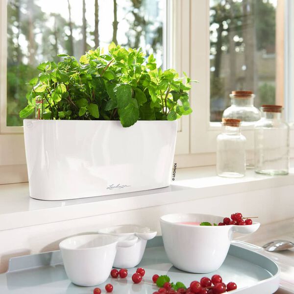 LECHUZA Jardini&egrave;re DELTA 10 ALL-IN-ONE Blanc brillant