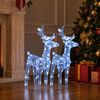 vidaXL Rennes de No&euml;l 2 pcs 80 LED Blanc froid Acrylique