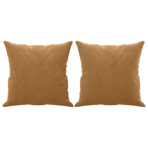 vidaXL Coussins d&eacute;coratifs lot de 2 Marron 40x40 cm Velours