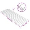 vidaXL Latte de rechange pour sommier avec 24 lattes 70 x 200 cm