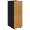 vidaXL Armoire de rangement Noir 40 x 48 x 105 cm Bois d'ingénierie