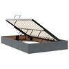 vidaXL Lit avec rangement et matelas Gris fonc&eacute; 120 x 190 cm Velours