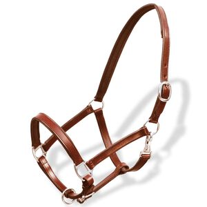 Licol Licou en cuir r&eacute;glable pour &eacute;curie Poney Marron