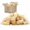 vidaXL Allume-feux en laine de bois BIO Pin & paraffine 15 kg