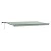 vidaXL Auvent r&eacute;tractable Vert et blanc 600 &times; 300 cm