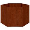 vidaXL Jardini&egrave;re Rouill&eacute; 60x60x45 cm Acier corten