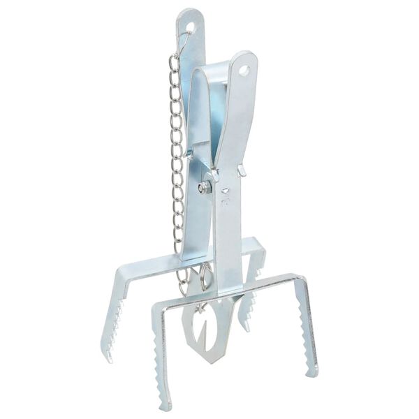 vidaXL Pi&egrave;ges &agrave; taupes 5 pcs Argent&eacute; Acier galvanis&eacute;