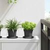 vidaXL Pot &agrave; fleurs rond 6 pcs Noir &Oslash; 12,5 x 10 cm Plastique