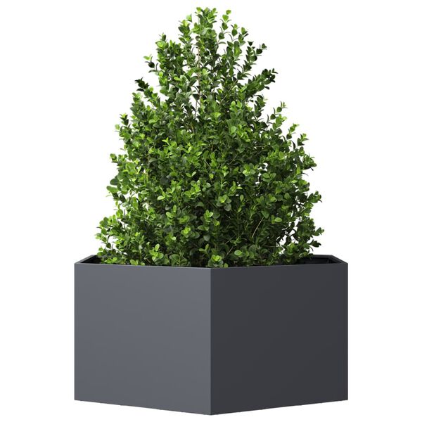 vidaXL Jardini&egrave;re anthracite hexagone 104x90x45 cm acier