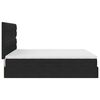 vidaXL Lit avec rangement et matelas Noir 160 x 200 cm Velours