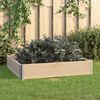 vidaXL Jardini&egrave;re sur&eacute;lev&eacute;e 100x100 cm Bois de pin solide
