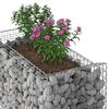 vidaXL Lit sur&eacute;lev&eacute; gabion Argent&eacute; 50 x 100 x 100 cm Acier galvanis&eacute;