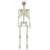 vidaXL Squelette d'Halloween Blanc 155 x 38.5 cm Plastique
