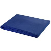 vidaXL Toile de fond Coton Bleu 300x300 cm Incrustation