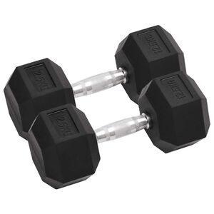 vidaXL Halt&egrave;res 2 pcs 12,5 kg Total Fonte