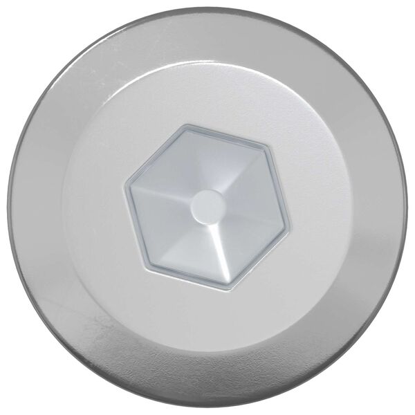 vidaXL Vis en bois 12 pcs Argent&eacute; M6 x 70 mm Acier