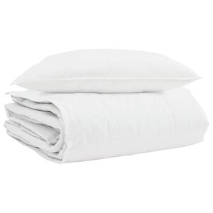 vidaXL Duvet d'hiver avec oreiller 2 pcs Blanc Plume de canard