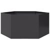 vidaXL Jardini&egrave;re noir hexagone 104x90x45 cm acier
