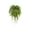 Emerald Foug&egrave;re artificielle suspendue avec racines 55 cm