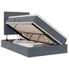 vidaXL Lit avec rangement et matelas Gris fonc&eacute; 120 x 190 cm Velours